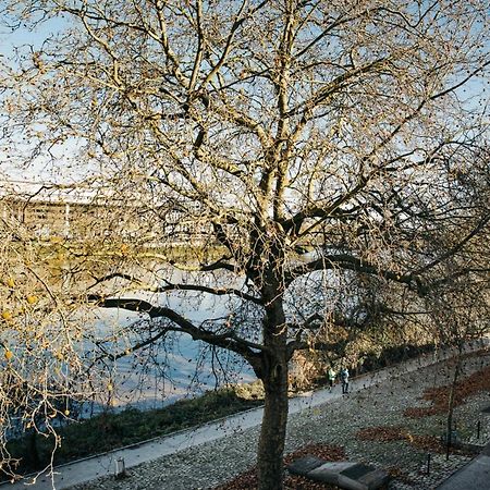 Apartament The Rhuys - Cosy-Balcony With Superb Loire View - All On Foot - Parking Nantes Zewnętrze zdjęcie